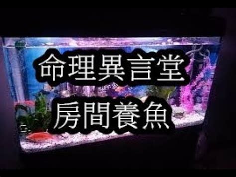 房間能養魚嗎